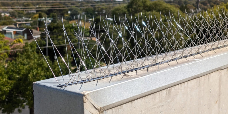 Best Narrow Profile Bird Spikes Chennai